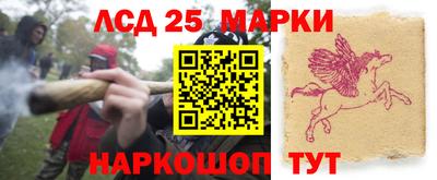 СК Новозыбков